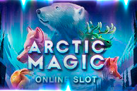 Arctic Magic 
